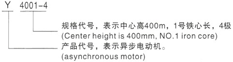 西安泰富西玛Y系列(H355-1000)高压景洪三相异步电机型号说明